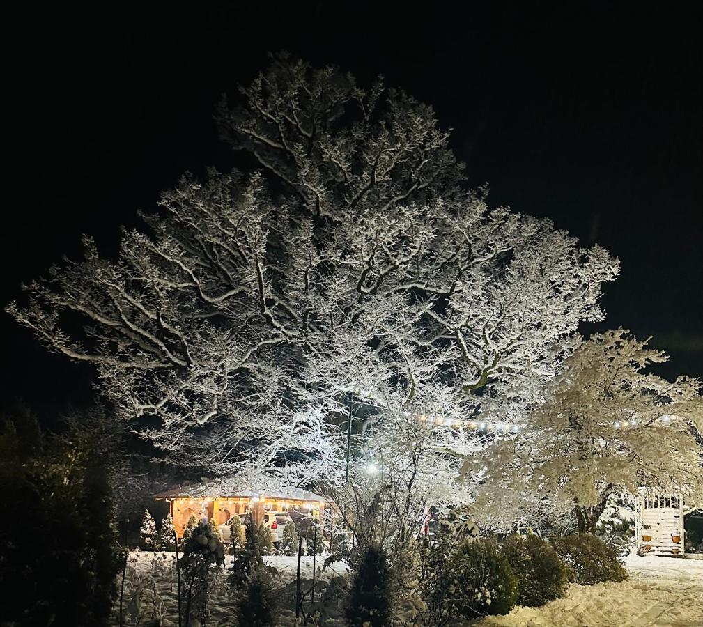 Guesthouse Kamelia Martvili Kültér fotó