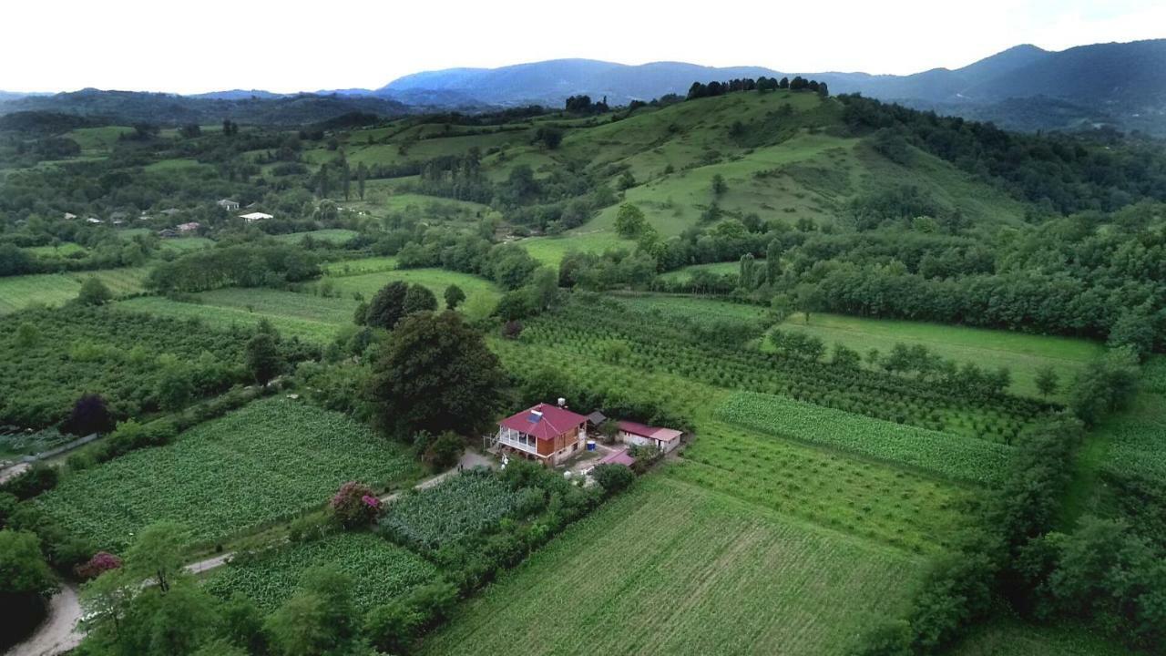 Guesthouse Kamelia Martvili Kültér fotó